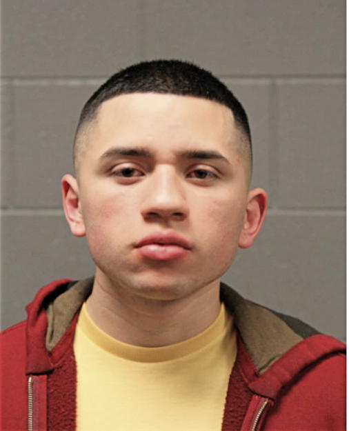 RAUL NAVARRO, Cook County, Illinois