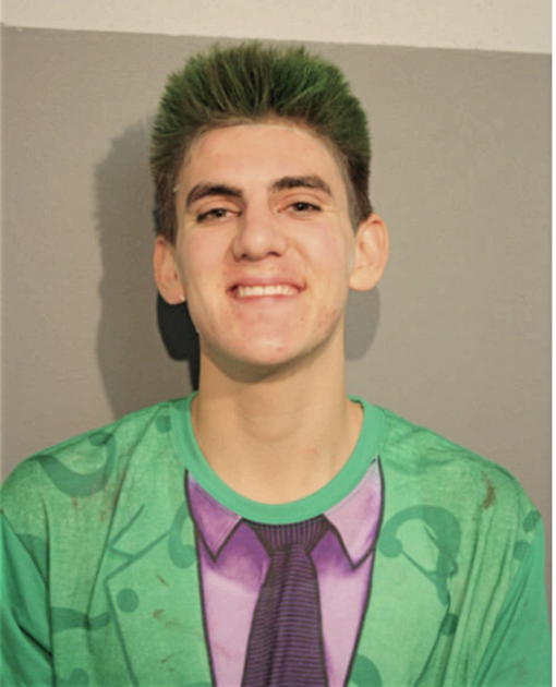 ADAM J PAGE, Cook County, Illinois