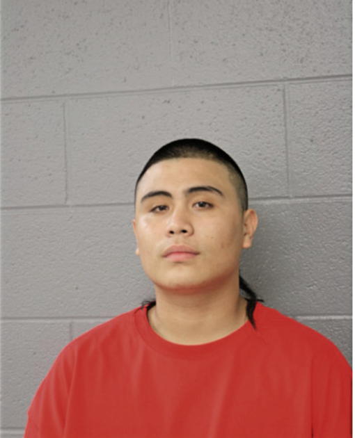 ALVARO J PEREZ, Cook County, Illinois