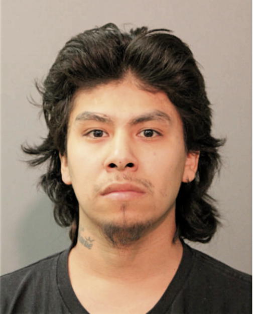 MARTIN RAMIREZ, Cook County, Illinois