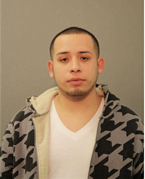 RAY E REYES, Cook County, Illinois