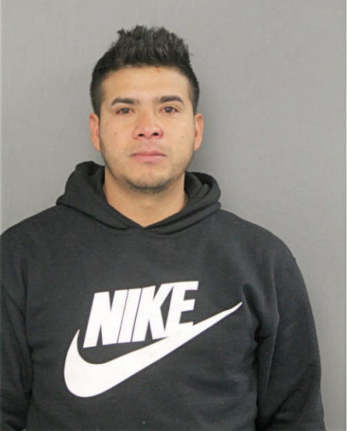 RAFAEL R RIVERA, Cook County, Illinois