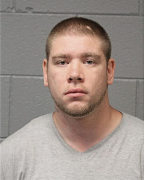 FILIPE J ROSARIO, Cook County, Illinois