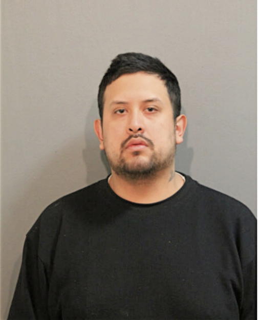 MICHAEL M SENTENO, Cook County, Illinois