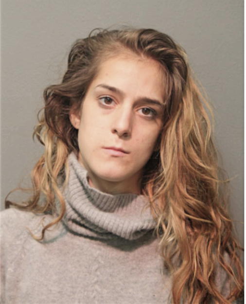 ERICA JOANN VANDERPLOW, Cook County, Illinois