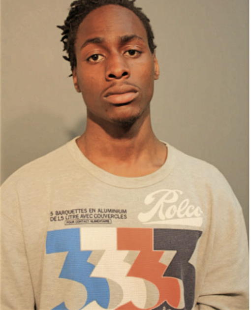 LORENZO L WILLIAMS, Cook County, Illinois