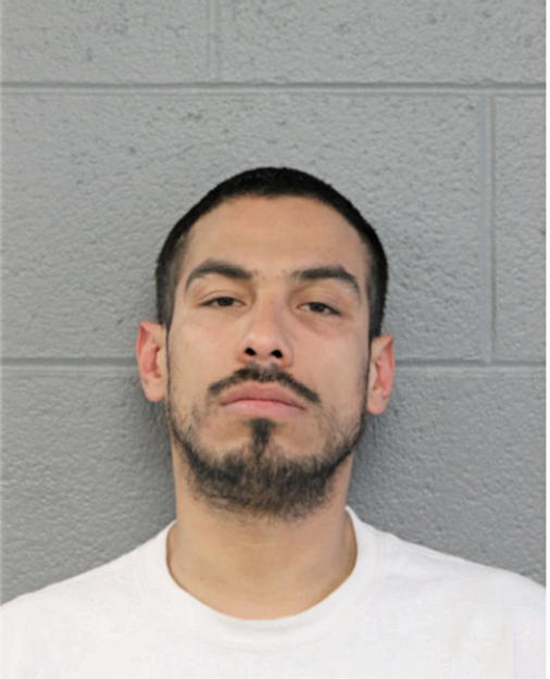 ENRIQUE ZAMORA, Cook County, Illinois