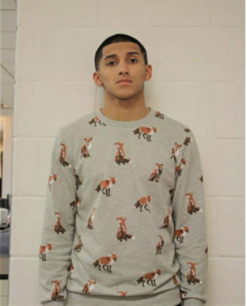 ENRIQUE R ANDRADE, Cook County, Illinois