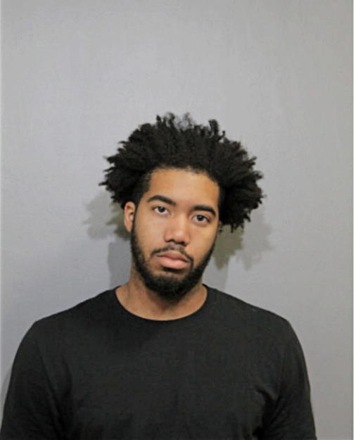 AARON P ARMSTEAD, Cook County, Illinois