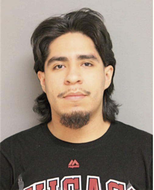 DAVID AVILES, Cook County, Illinois