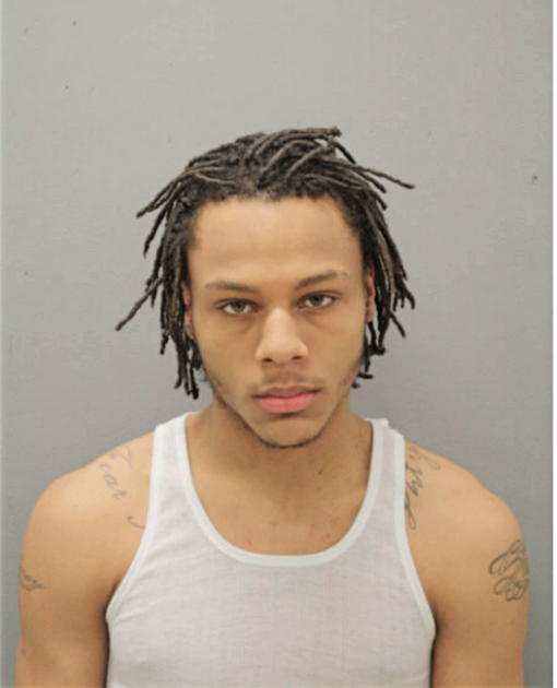 SEAN P BRADLEY, Cook County, Illinois