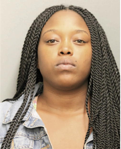 ADRIENNE L COLLINS, Cook County, Illinois