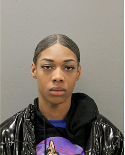 SAIGE DEAN, Cook County, Illinois