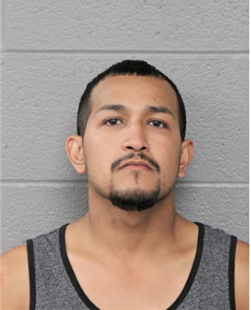ISMAEL GARAY, Cook County, Illinois