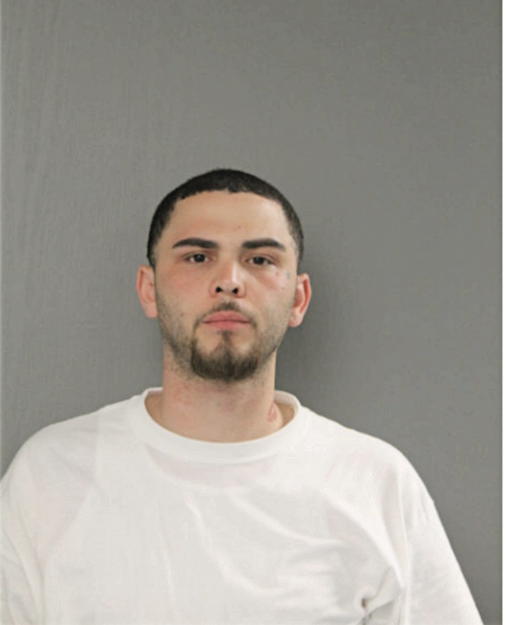 ANTHONY A GONZALEZ, Cook County, Illinois
