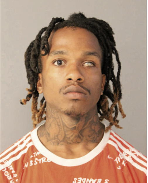 GABRIEL JOHNSON, Cook County, Illinois