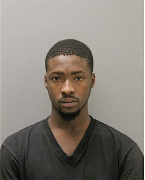 LEANTRE C JOYNER, Cook County, Illinois