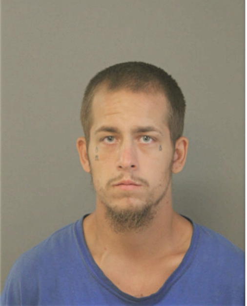 ERIK J LARSON, Cook County, Illinois