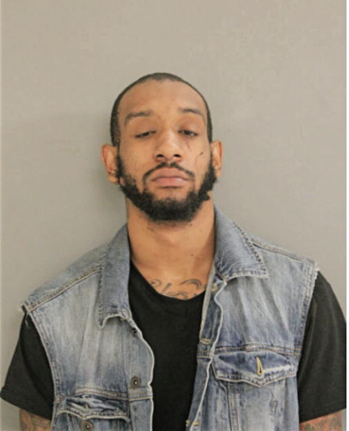 RANDY T LEMON, Cook County, Illinois