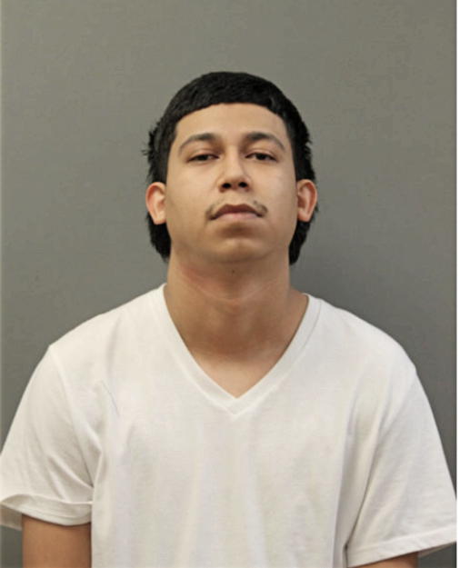 DANIEL FIGUEROA MARTINEZ, Cook County, Illinois