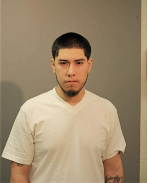 STEVEN MASTACHE, Cook County, Illinois
