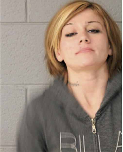 CRYSTAL A MELENDEZ, Cook County, Illinois