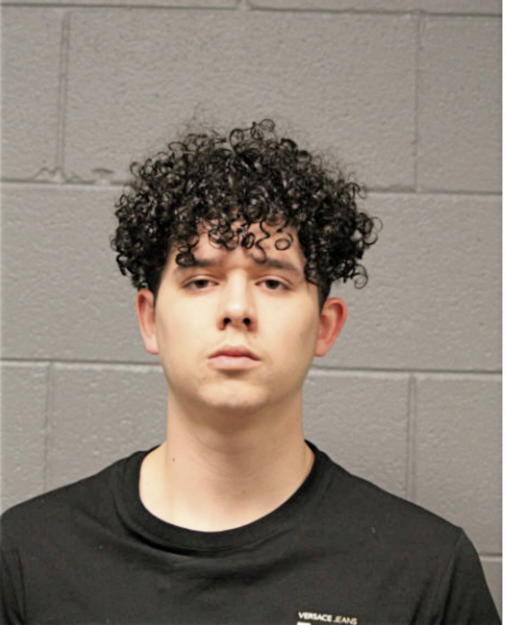 FERNANDO A MUNOZ, Cook County, Illinois