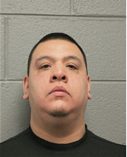 DAVID A NAVARRETTE, Cook County, Illinois