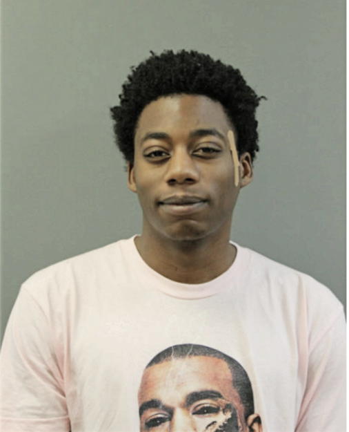BRENT J TERRY, Cook County, Illinois