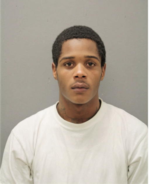 JALYN VERNER, Cook County, Illinois