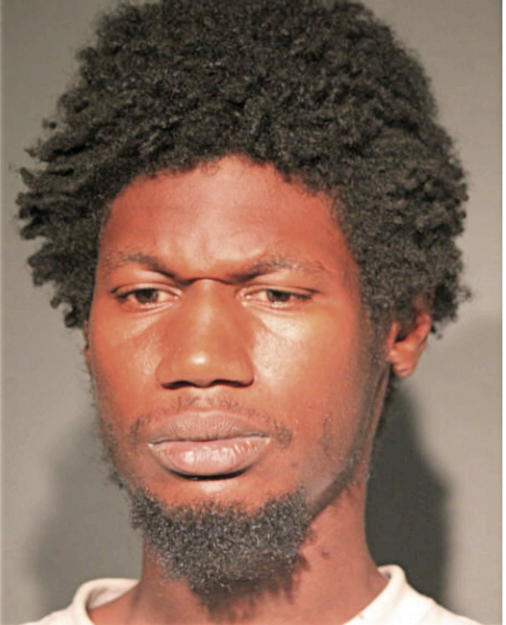DEJOIE WILLIAMS, Cook County, Illinois