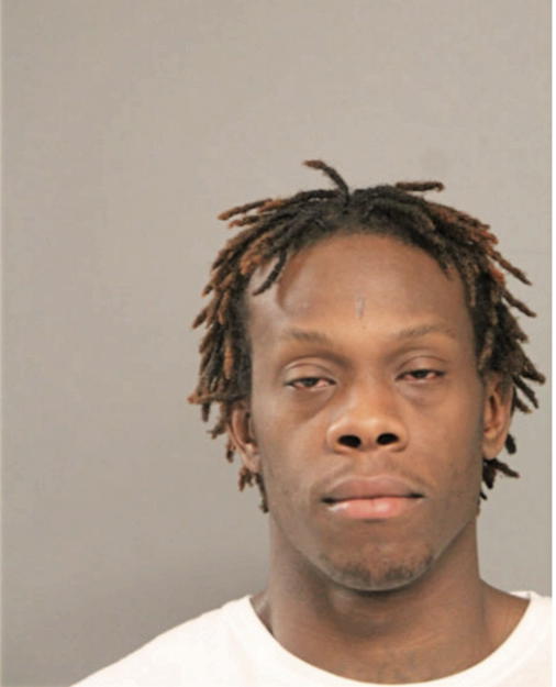 RL GLENN XAVIER SELVIE, Cook County, Illinois