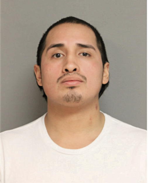 IVAN ANDRADE, Cook County, Illinois