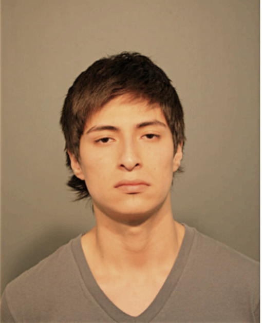 NOEL AYALA, Cook County, Illinois