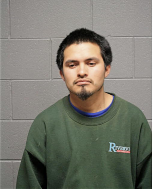 JUAN CRISOSTOMO, Cook County, Illinois