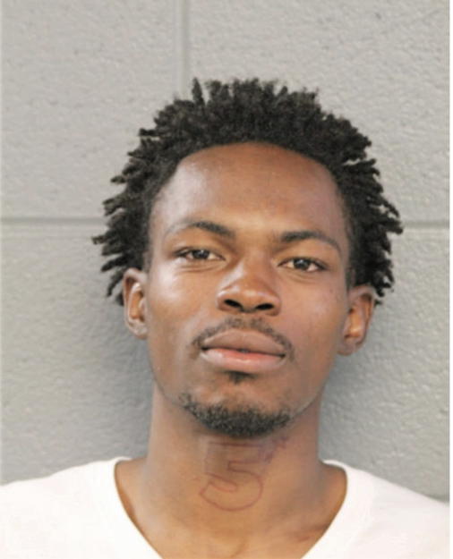 DASHUN R DINGLE, Cook County, Illinois
