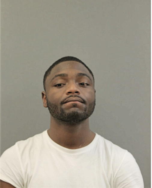 CHRISTOPHER N ELLIS, Cook County, Illinois