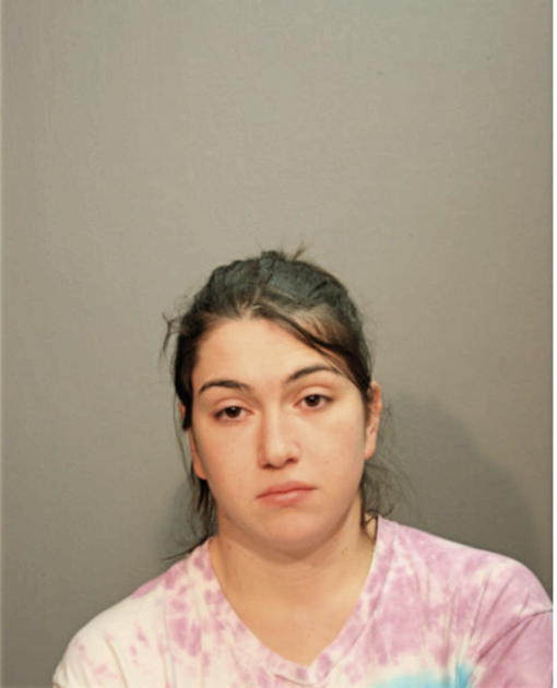MEGAN E ENGLISH, Cook County, Illinois