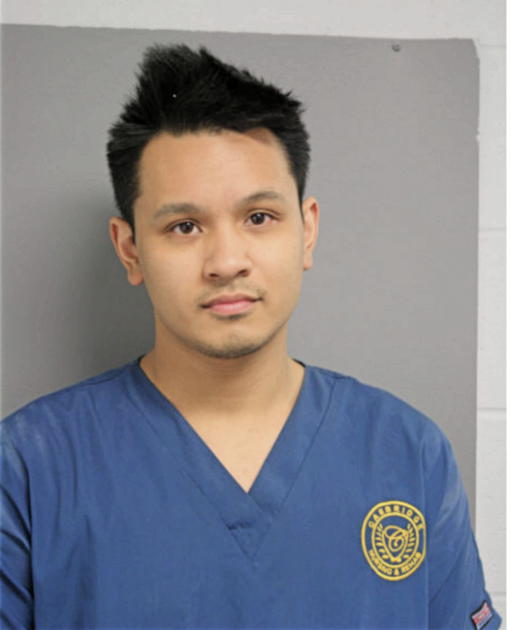 AARON C FANCO, Cook County, Illinois