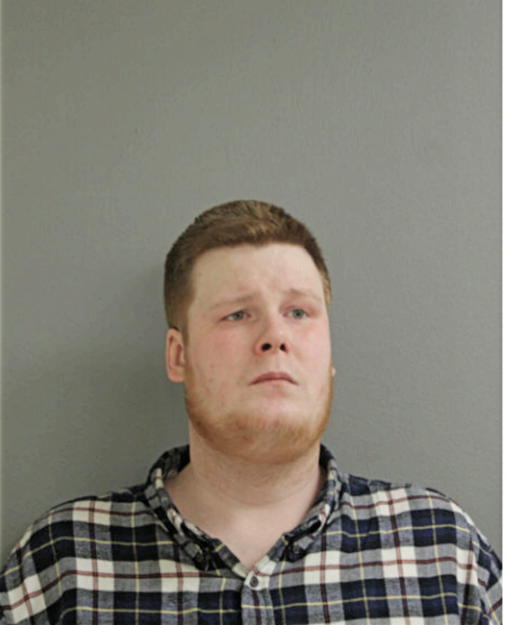NATHAN L FERGUSON, Cook County, Illinois