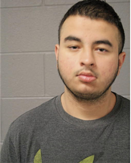 FERNANDO GALLARDO, Cook County, Illinois
