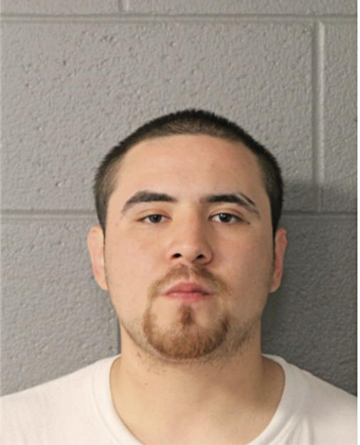 FROYLON GARCIA, Cook County, Illinois