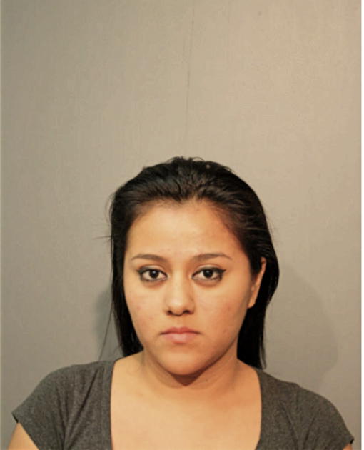 NANCY Y GARCIA, Cook County, Illinois