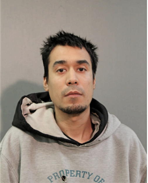 GONZALO GARNICA, Cook County, Illinois