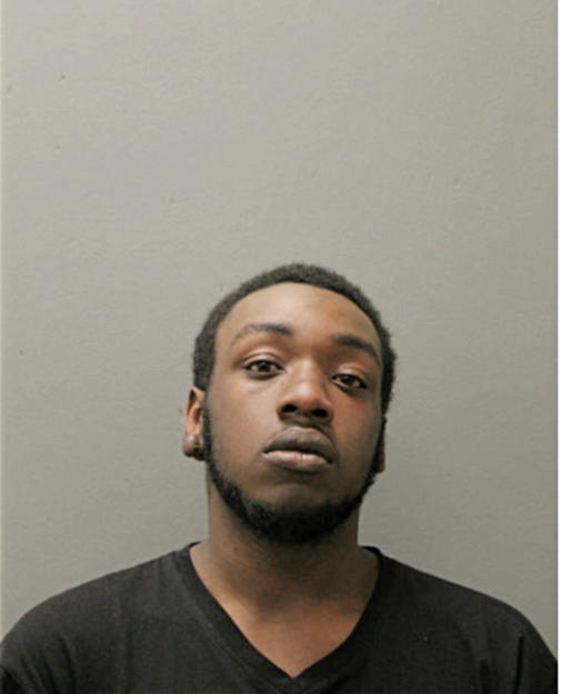NATHANIEL J GILL, Cook County, Illinois