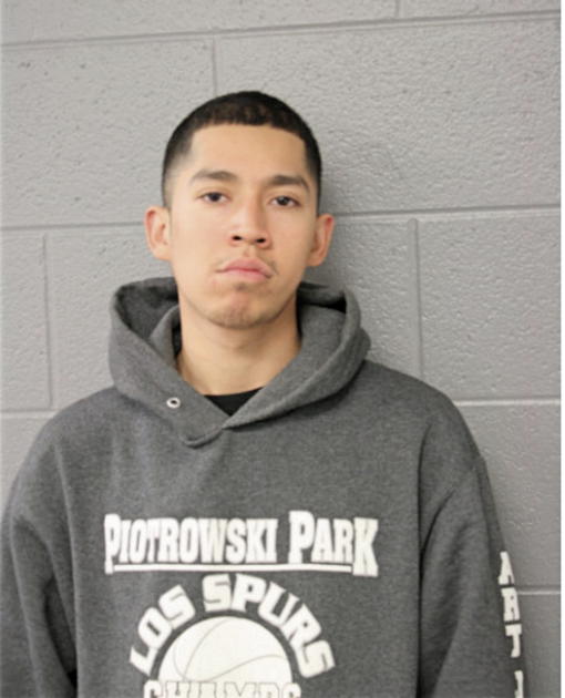 JOSE A GONZALES, Cook County, Illinois