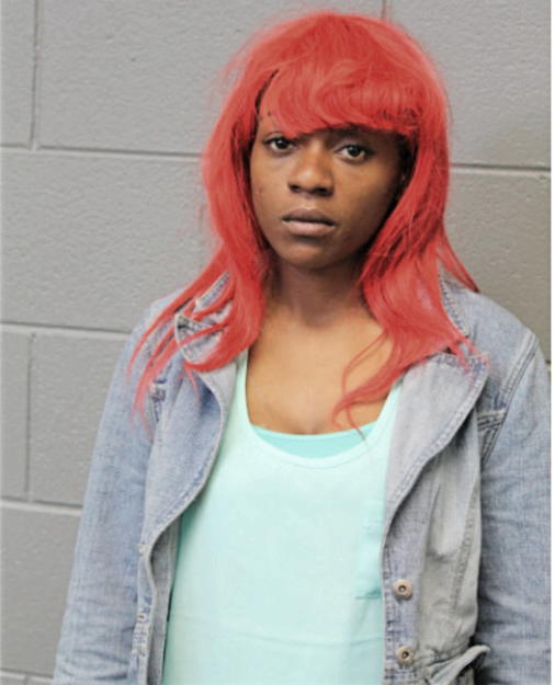 ASHLEY M GOODLOE, Cook County, Illinois