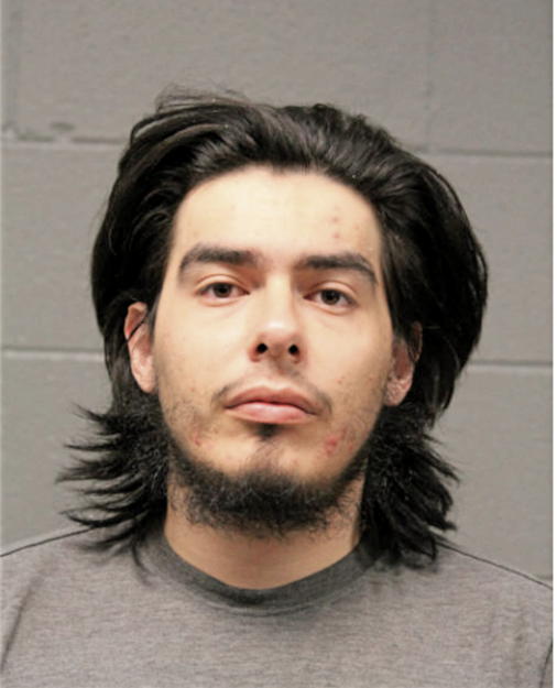 CRISTIAN J GUIFARRO, Cook County, Illinois