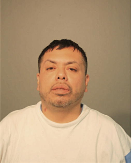 REGINO LAGUNAS, Cook County, Illinois