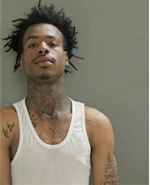 ALVIN E LASHLEY, Cook County, Illinois